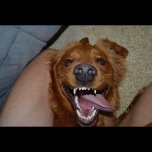 Meet your Posher, Seth